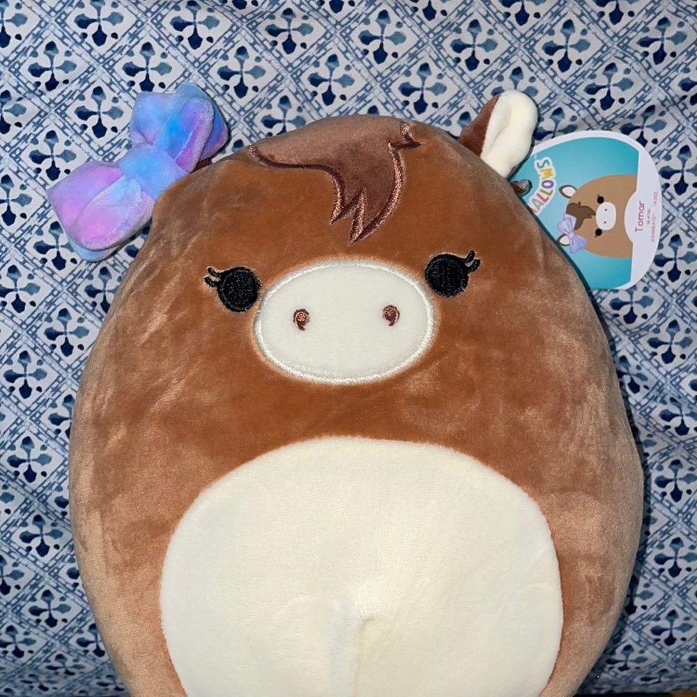 Tamar Squishmallow!